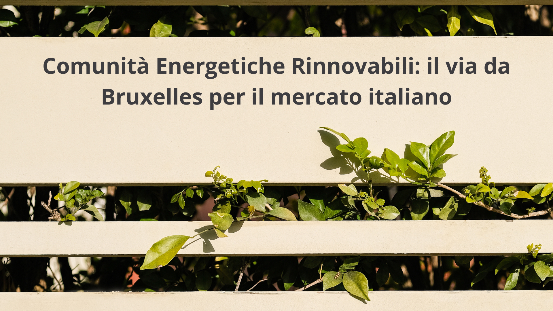 CER: il via libera di Bruxelles al mercato italiano