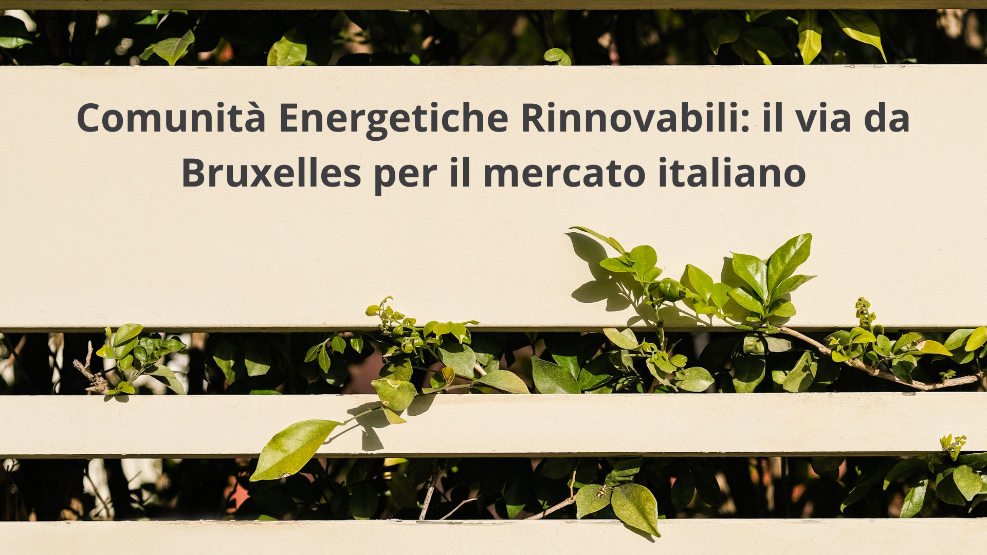 Comunità energetiche rinnovabili: il via libera di Comissione Europea al decreto italiano